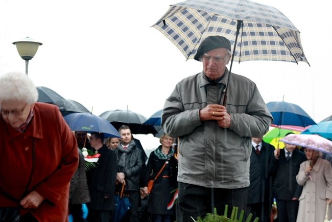 Konstytucja własnością obywateli - zdjęcia