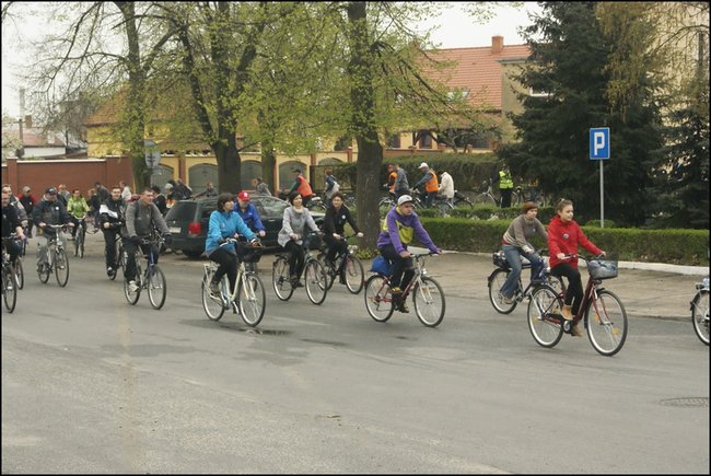 Majowo-zdrowo?rowerowo - zdjęcia