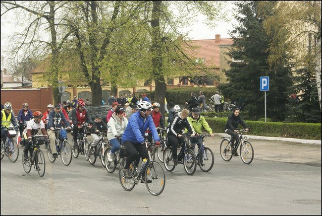 Majowo-zdrowo?rowerowo - zdjęcia