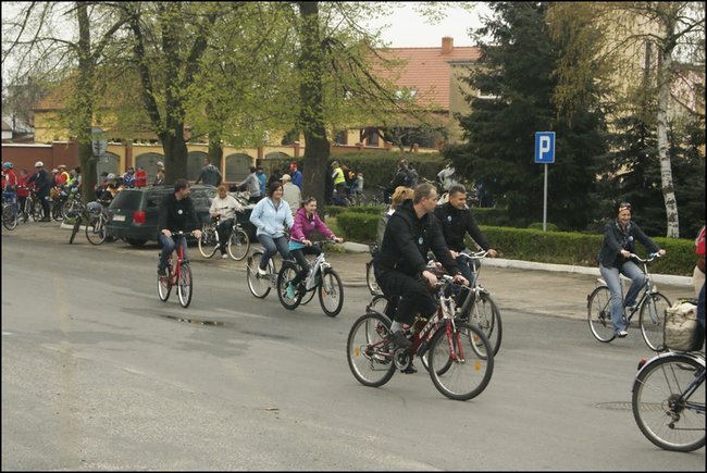 Majowo-zdrowo?rowerowo - zdjęcia