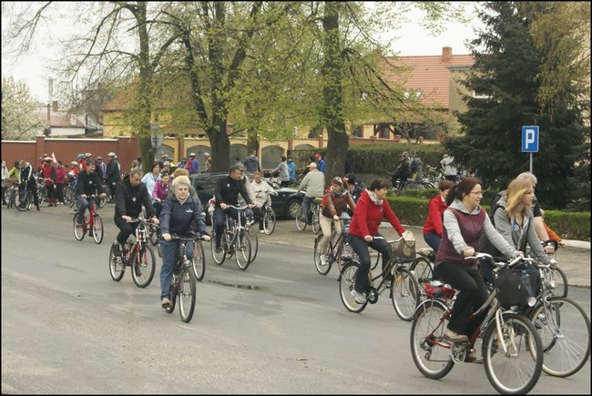 Majowo-zdrowo?rowerowo - zdjęcia