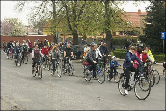 Majowo-zdrowo?rowerowo - zdjęcia