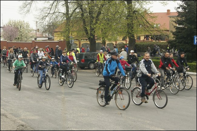 Majowo-zdrowo?rowerowo - zdjęcia