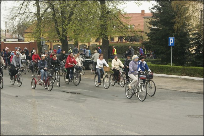 Majowo-zdrowo?rowerowo - zdjęcia