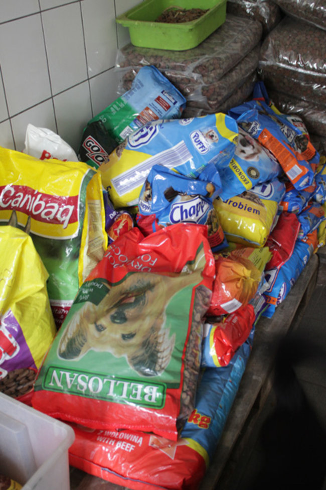 Otwarte drzwi, otwarte serca - zdjęcia