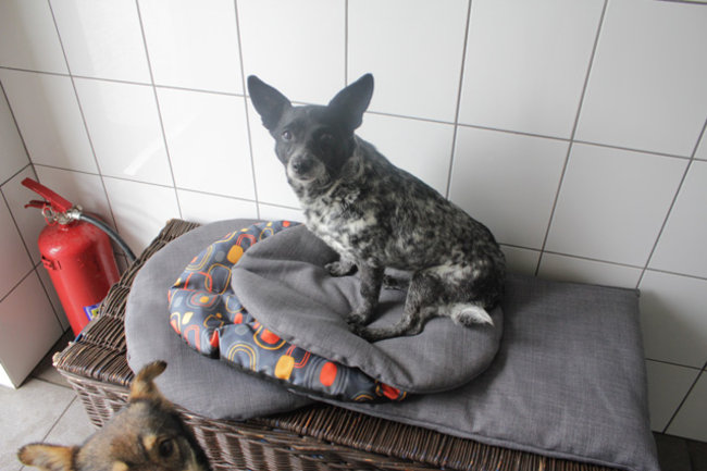 Otwarte drzwi, otwarte serca - zdjęcia