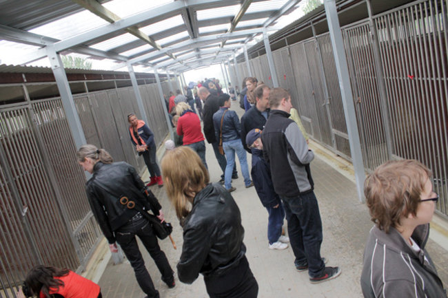 Otwarte drzwi, otwarte serca - zdjęcia