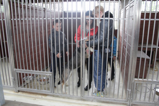 Otwarte drzwi, otwarte serca - zdjęcia