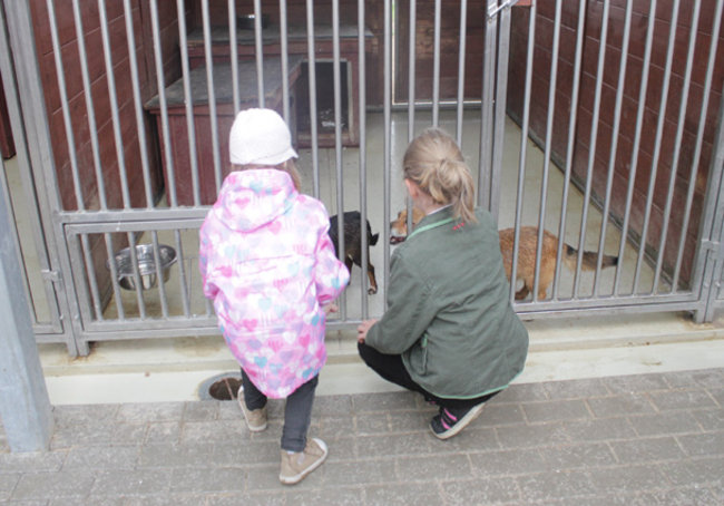 Otwarte drzwi, otwarte serca - zdjęcia