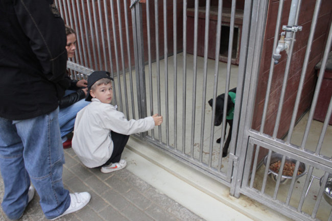 Otwarte drzwi, otwarte serca - zdjęcia