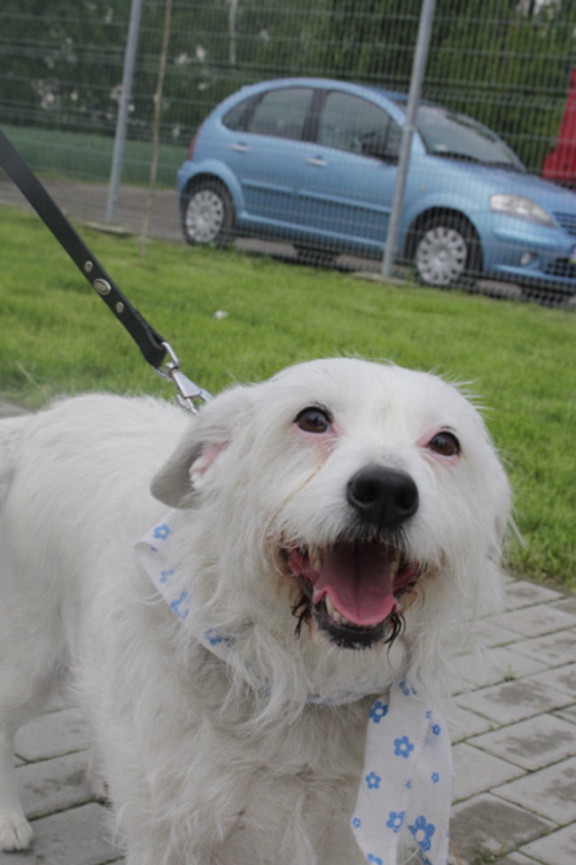 Otwarte drzwi, otwarte serca - zdjęcia