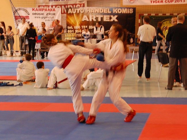 Zaszczyty dla gostynian - zdjęcia