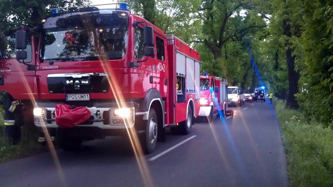 Sięgając po komórkę - zdjęcia