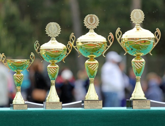 Pokonał Ukraińców - zdjęcia