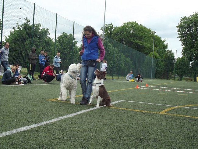 Marszem, sprintem, na rolkach...