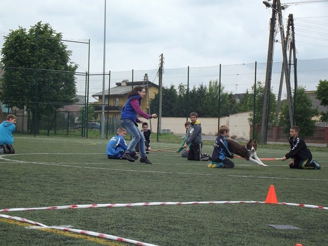 Marszem, sprintem, na rolkach...