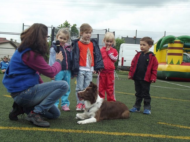 Marszem, sprintem, na rolkach...