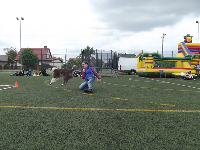 Marszem, sprintem, na rolkach...