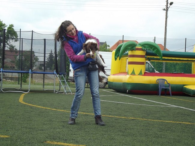 Marszem, sprintem, na rolkach...