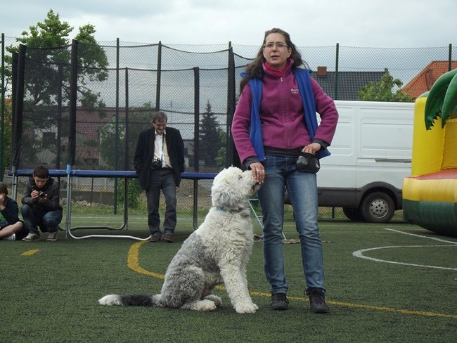 Marszem, sprintem, na rolkach...