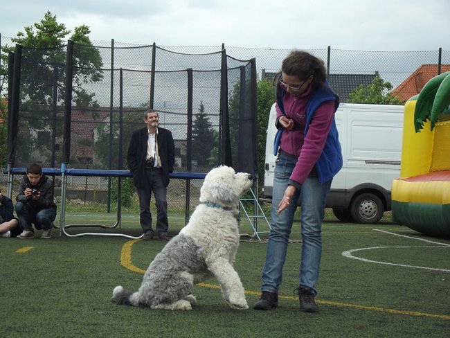 Marszem, sprintem, na rolkach...