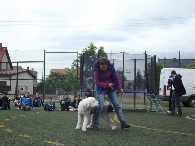 Marszem, sprintem, na rolkach...