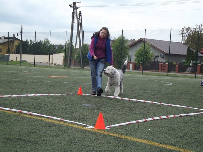 Marszem, sprintem, na rolkach...