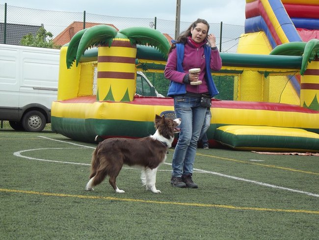 Marszem, sprintem, na rolkach...