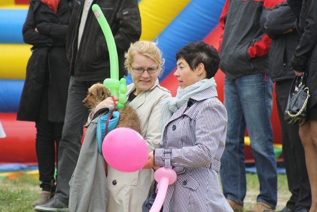 Zjednoczeni w sercu osiedla - zdjęcia