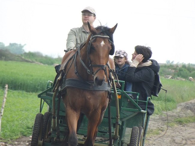 Na przekór pogodzie - zdjęcia