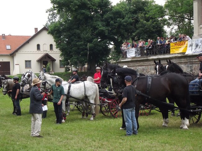 Tętent kopyt i Gienek Loska Band - zdjęcia