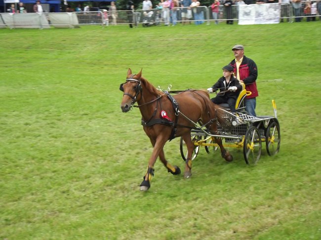 Tętent kopyt i Gienek Loska Band - zdjęcia
