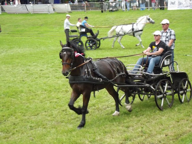 Tętent kopyt i Gienek Loska Band - zdjęcia