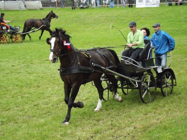 Tętent kopyt i Gienek Loska Band - zdjęcia
