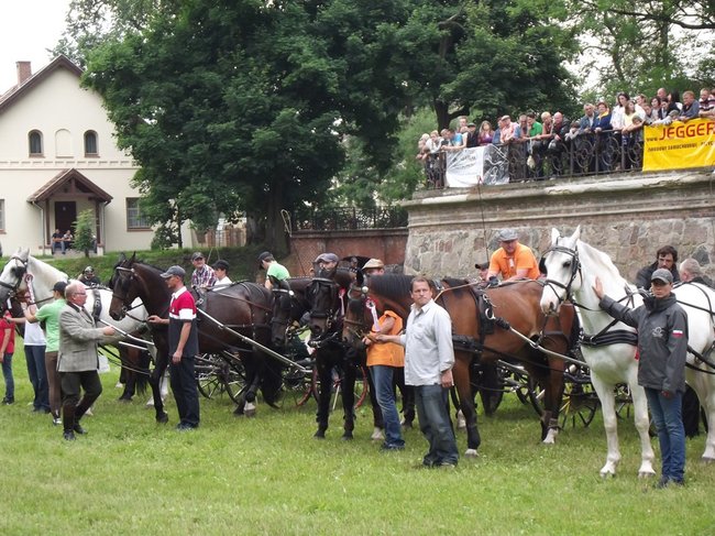 Tętent kopyt i Gienek Loska Band - zdjęcia
