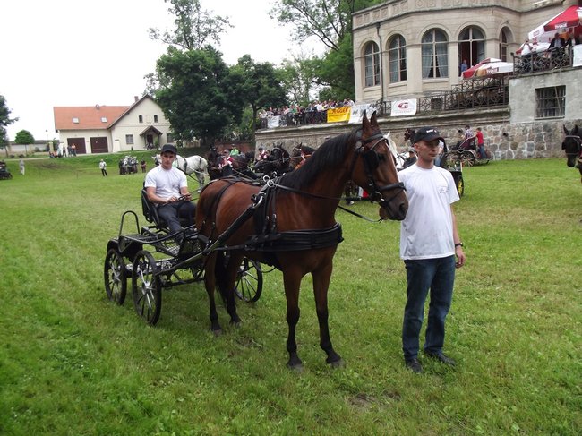 Tętent kopyt i Gienek Loska Band - zdjęcia