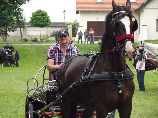 Tętent kopyt i Gienek Loska Band - zdjęcia
