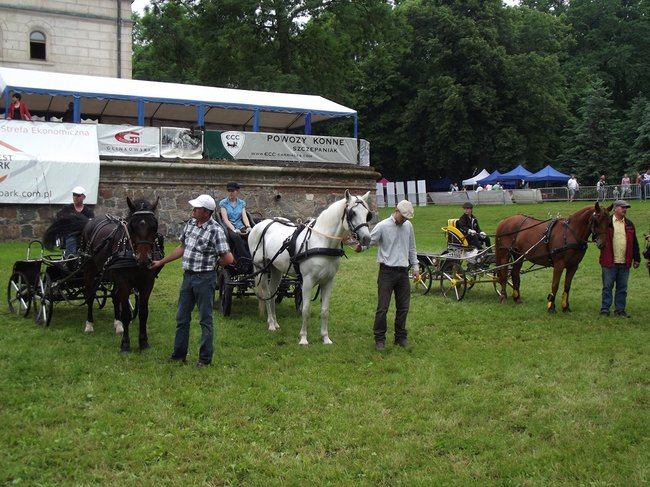 Tętent kopyt i Gienek Loska Band - zdjęcia