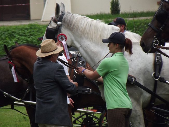 Tętent kopyt i Gienek Loska Band - zdjęcia