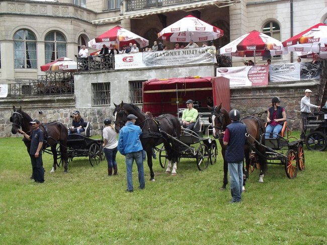Tętent kopyt i Gienek Loska Band - zdjęcia
