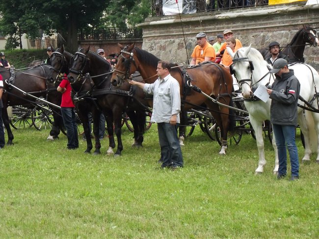 Tętent kopyt i Gienek Loska Band - zdjęcia