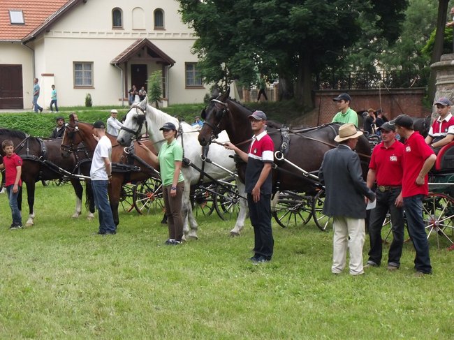 Tętent kopyt i Gienek Loska Band - zdjęcia