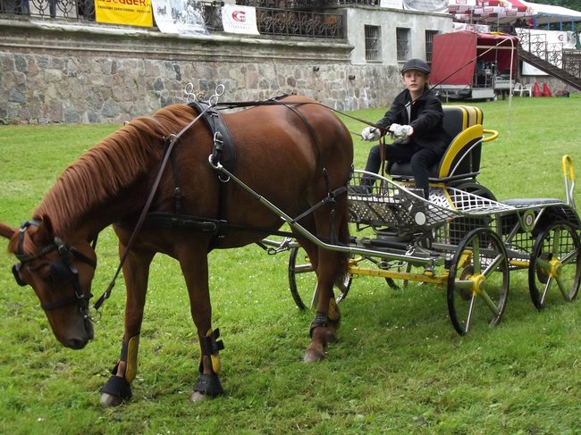 Tętent kopyt i Gienek Loska Band - zdjęcia