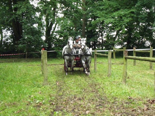 Tętent kopyt i Gienek Loska Band - zdjęcia