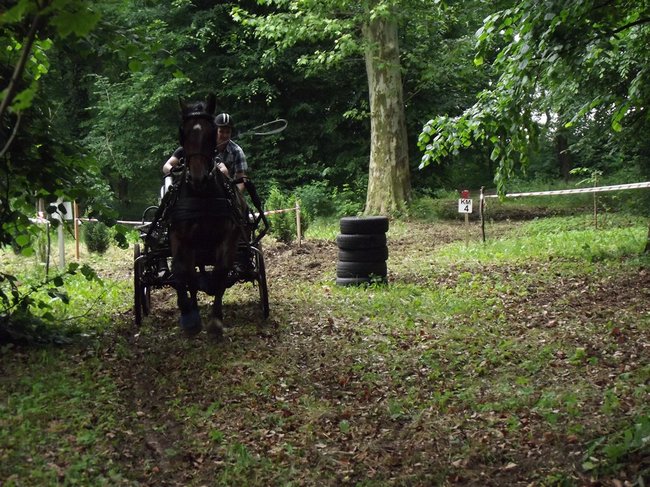 Tętent kopyt i Gienek Loska Band - zdjęcia