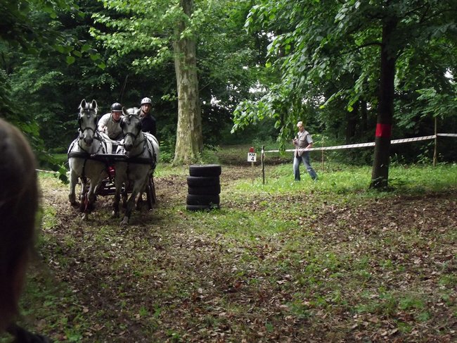 Tętent kopyt i Gienek Loska Band - zdjęcia