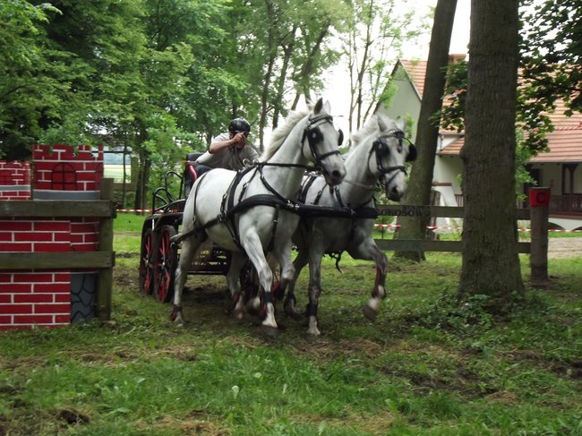 Tętent kopyt i Gienek Loska Band - zdjęcia