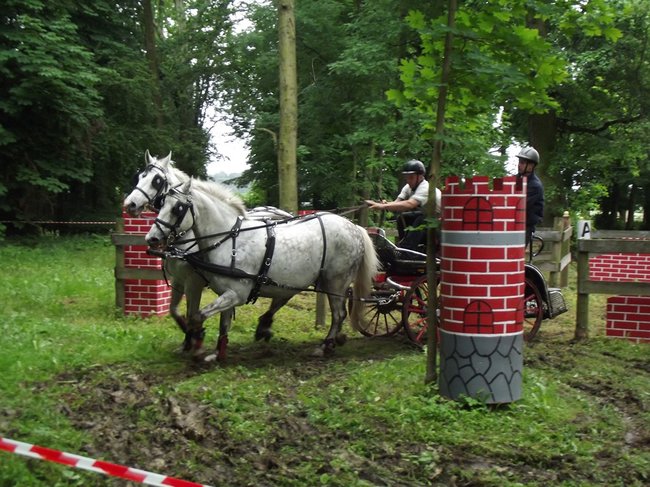 Tętent kopyt i Gienek Loska Band - zdjęcia
