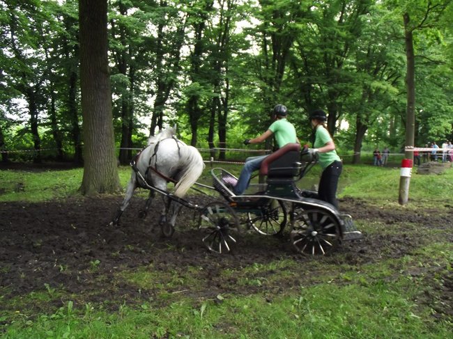 Tętent kopyt i Gienek Loska Band - zdjęcia