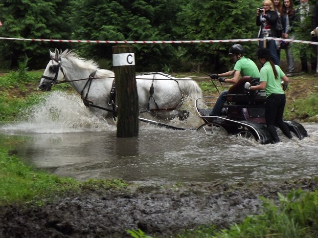 Tętent kopyt i Gienek Loska Band - zdjęcia